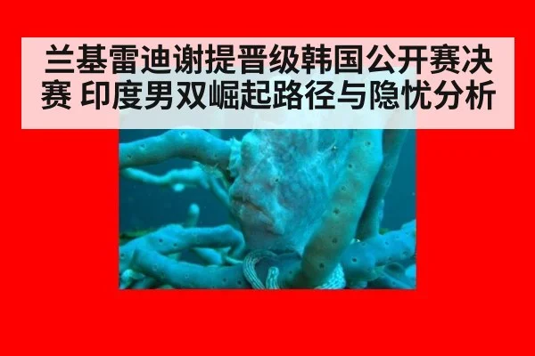兰基雷迪谢提晋级韩国公开赛决赛 印度男双崛起路径与隐忧分析